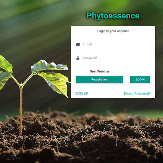 phytoessence
